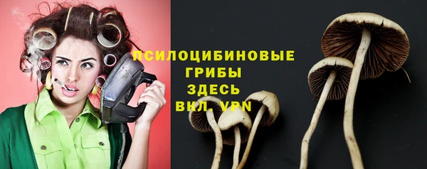 дживик Балабаново