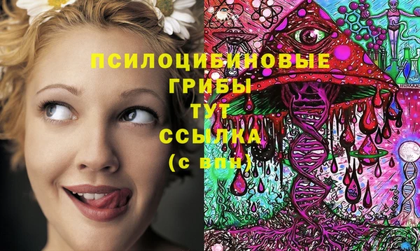 спиды Баксан