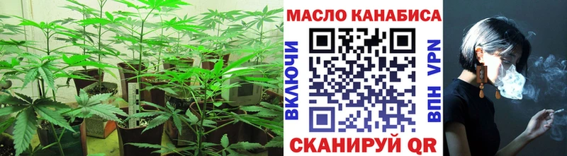 где купить наркотик  Ялуторовск  hydra ONION  Дистиллят ТГК THC oil 