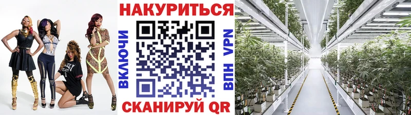 Бошки Шишки планчик где купить наркоту Ялуторовск